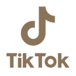 TikTok Icon